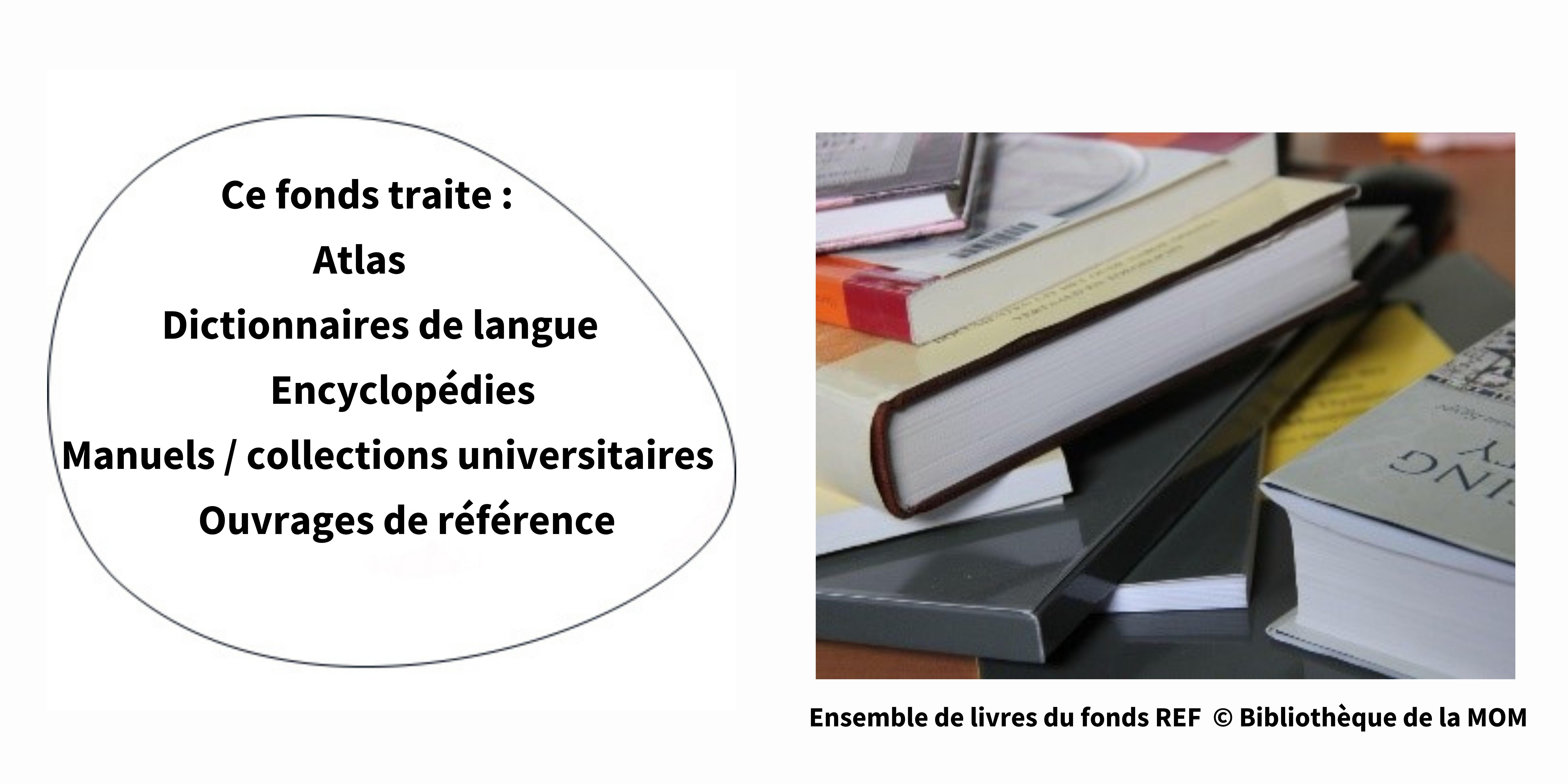 REF - Présentation